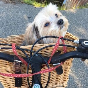 Meet your Posher, Jaime